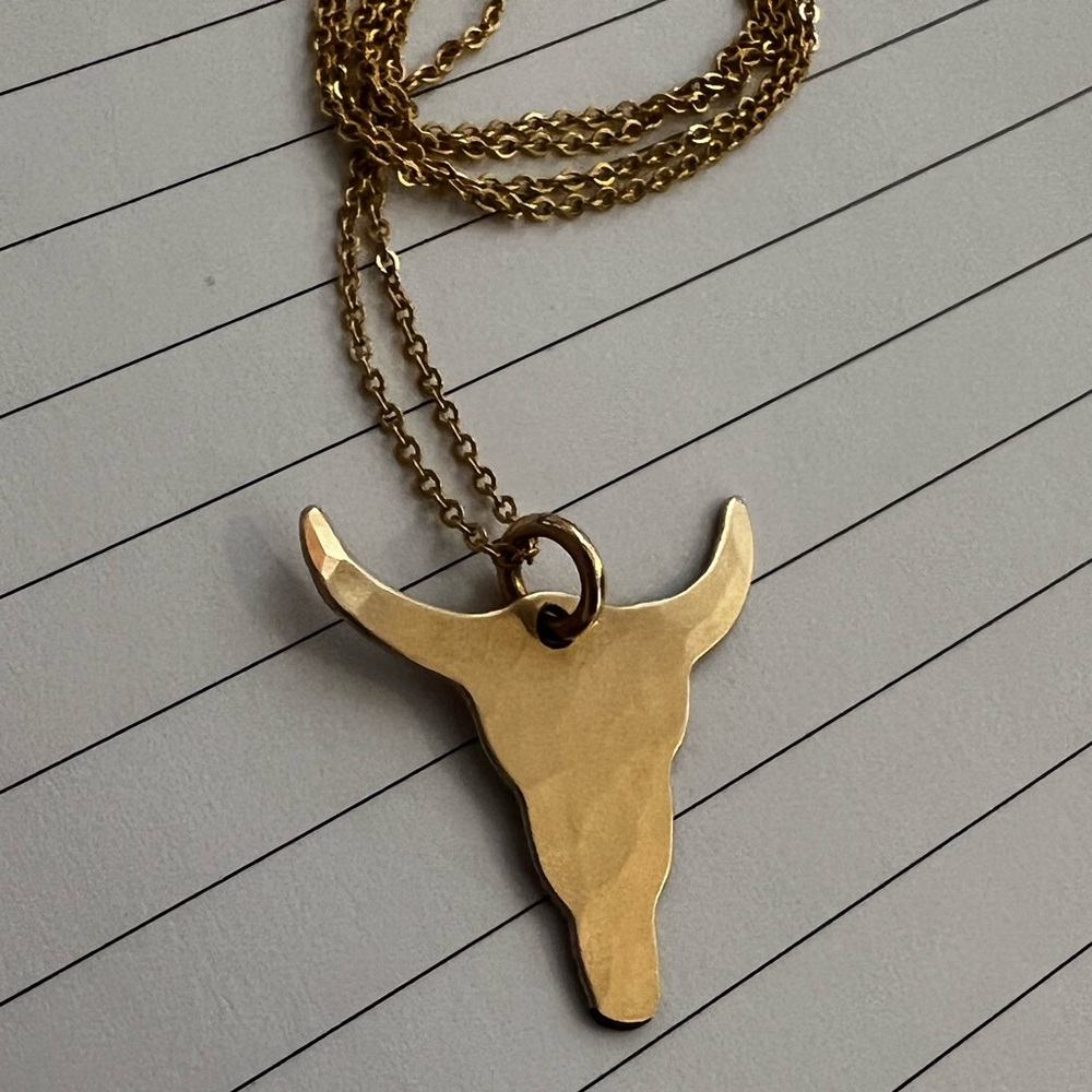 James Michelle 18” Gold Long Horn Necklace